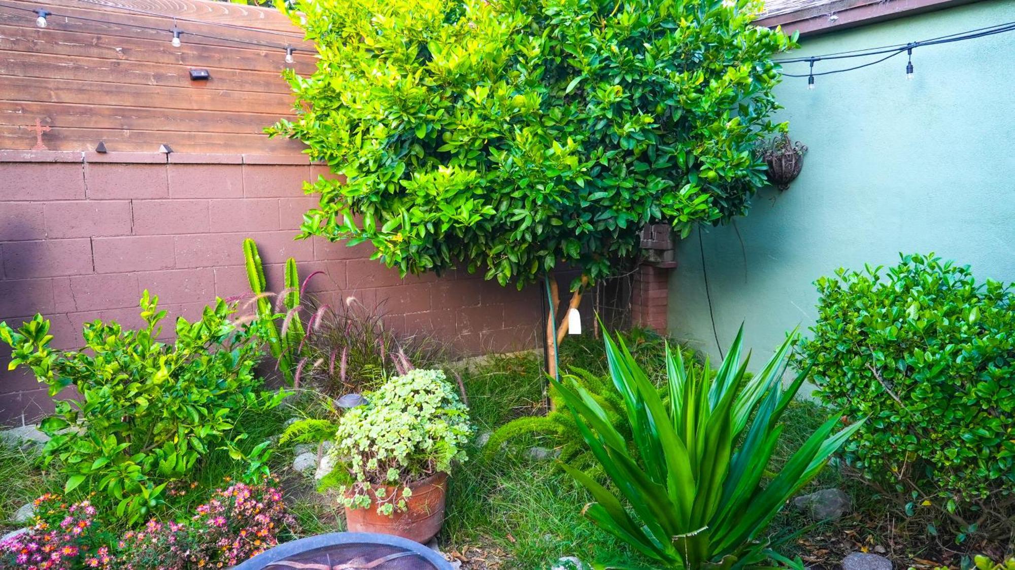 Cozy Private Guest House Los Angeles Kültér fotó